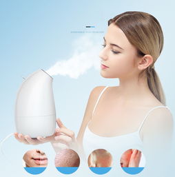 金稻KD-2331企鹅款热喷蒸脸仪 开启家庭纳米补水新体验